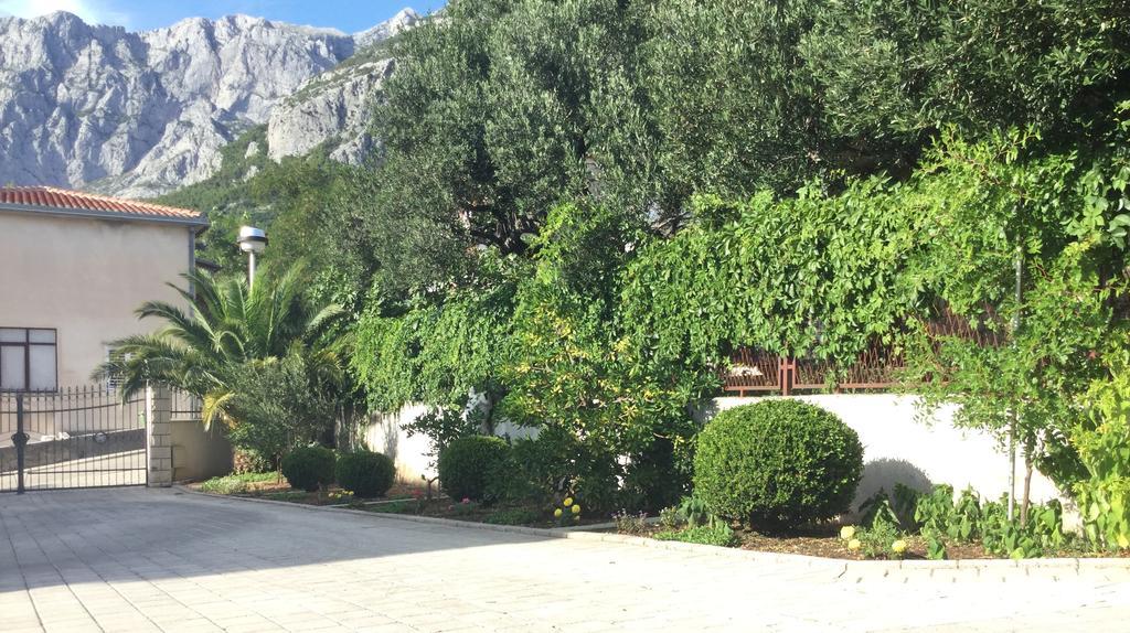 Barabica Makarska